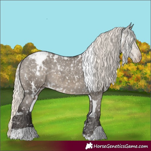 Horse Color:White Spotted Silver Smoky Grullo Snowflake Varnish