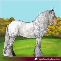 Horse Color:White Spotted Silver Smoky Black Snowcap 