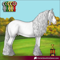 Horse Color:White Spotted Silver Smoky Creme Dun Appaloosa 