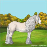 Horse Color:Cremello Splash  and Cremello Splash 