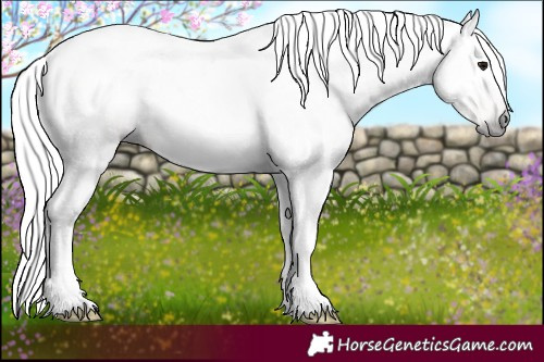 Horse Color:Gray Black Pearl Tobiano 