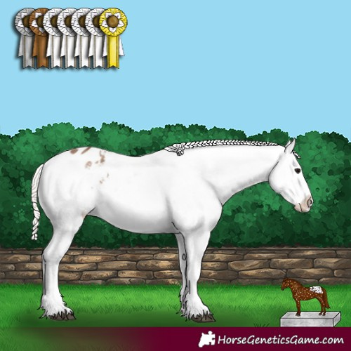 Horse Color:Silver Grullo Snowflake Varnish 