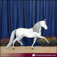 Horse Color:Silver Grullo Snowflake Varnish 