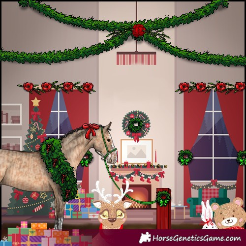 Horse Color:Bay Dun  and Bay Dun Splash 