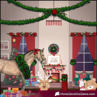 Horse Color:Bay Dun  and Bay Dun Splash 