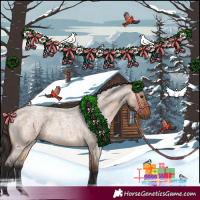 Horse Color:Bay Roan Dun 