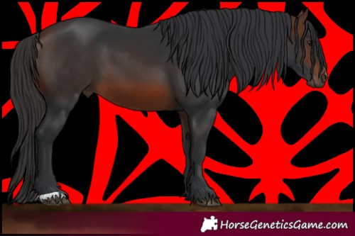 Horse Color:Brown 