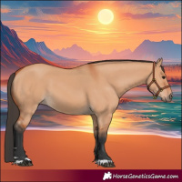 Horse Color:Bay Dun 
