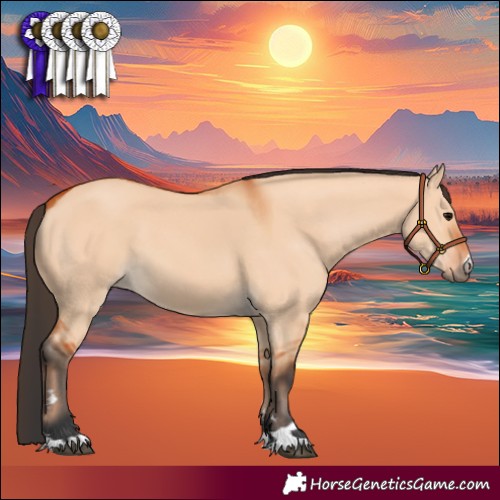 Horse Color:Bay Dun 