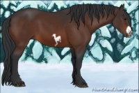 Horse Color:Bay Splash Frame