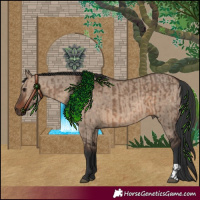Horse Color:Brown Dun  and Brown Dun 