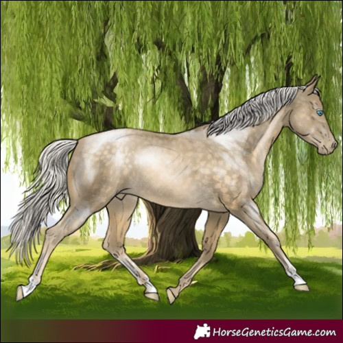 Horse Color:Silver Buckskin Pearl Sabino 