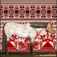 Horse Color:Bay Dun  and Bay Dun Appaloosa 