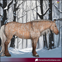 Horse Color:Platinum Liver Red Dun Brindle  and Silver Brown Dun 