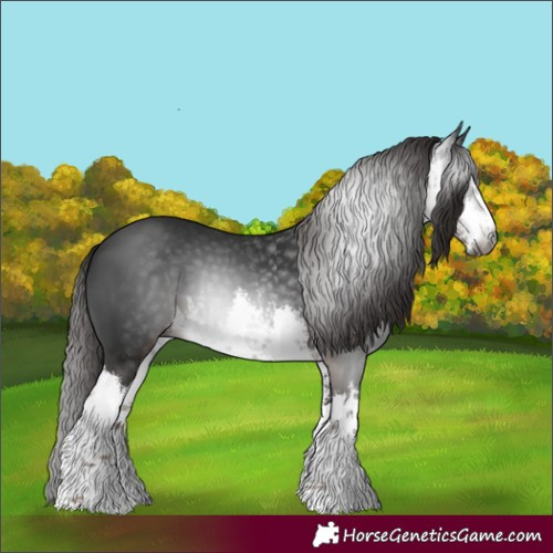 Horse Color:Gray White Spotted Liver Chestnut 