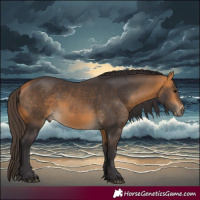 Horse Color:Buckskin 