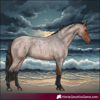 Horse Color:Bay Roan