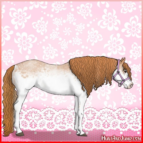 Horse Color:White Spotted Red Roan 