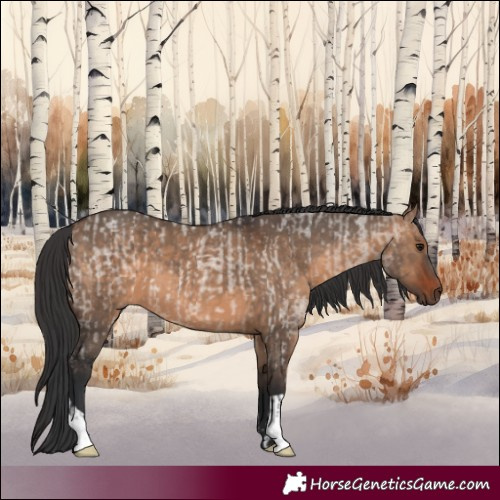Horse Color:Brown Roan Dun  and Brown Dun 