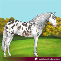 Horse Color:Silver Smoky Black Blanket