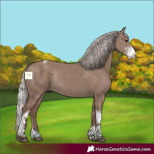 Horse Color:Silver Grullo Sabino Tobiano Rabicano 