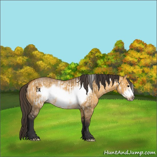 Horse Color:Brown Dun Frame and Buckskin Dun Frame