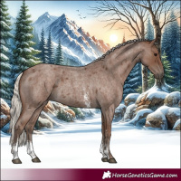 Horse Color:Silver Blue Roan Sabino