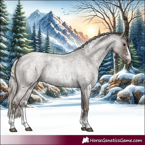Horse Color:Silver Blue Roan Sabino 