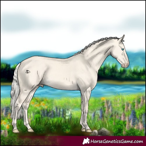 Horse Color:Cremello Dun