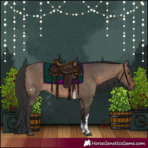 Horse Color:Brown Dun Sabino Rabicano