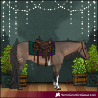 Horse Color:Brown Dun Sabino Rabicano 