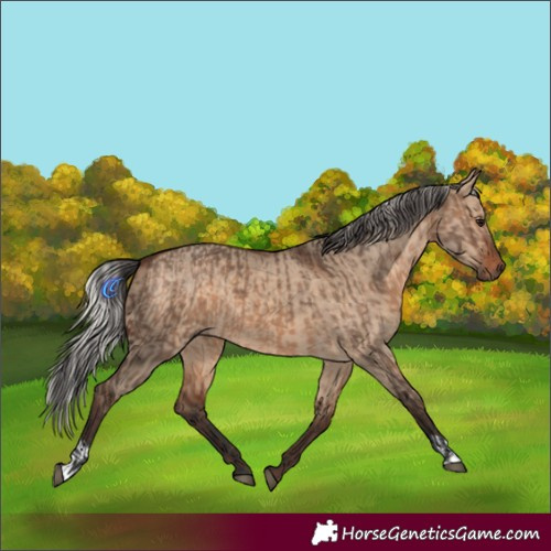 Horse Color:Brown Dun and Silver Brown Dun