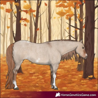 Horse Color:Liver Red Dun Roan Tobiano Frame 