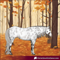 Horse Color:Silver Brown Roan Tobiano Near Leopard 