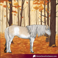 Horse Color:Silver Buckskin Roan Dun Splash 