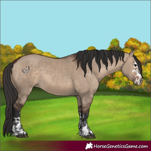 Horse Color:Brown Dun  and Brown Dun 