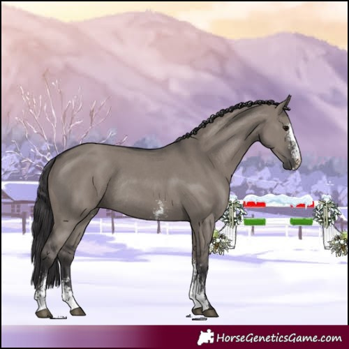 Horse Color:Smoky Grullo Sabino Rabicano 