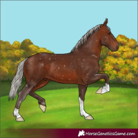 Horse Color:Silver Brown