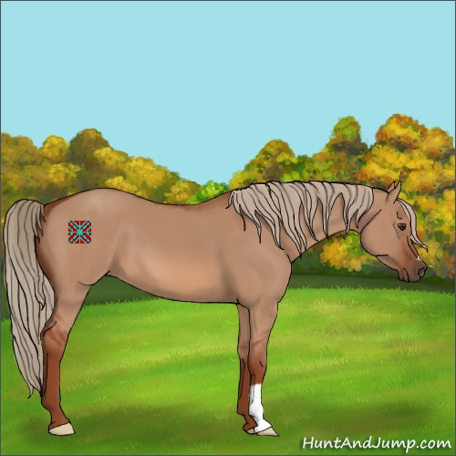 Horse Color:Red Dun 