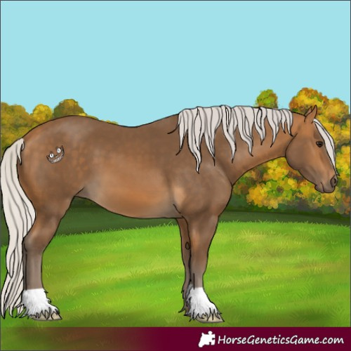 Horse Color:Silver Buckskin 