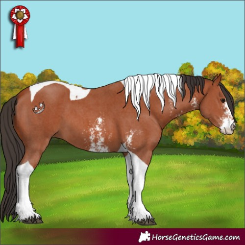 Horse Color:Bay Sabino Tobiano