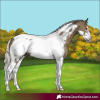 Horse Color:Silver Smoky Black Tobiano Frame 