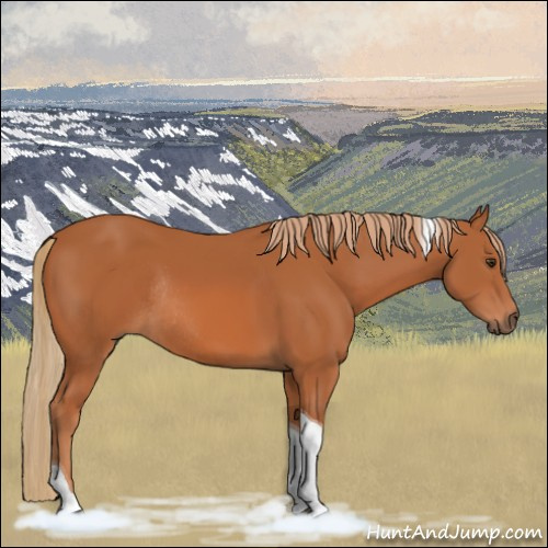 Horse Color:Chestnut Tobiano Rabicano 