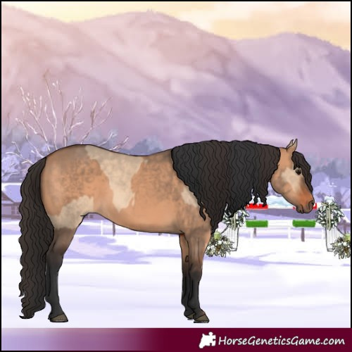 Horse Color:Bay Dun  and Bay Dun 