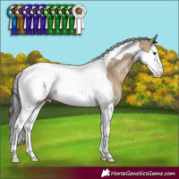 Horse Color:Liver Red Dun Splash Tobiano Snowcap 