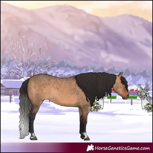 Horse Color:Bay Dun  and Brown Dun 