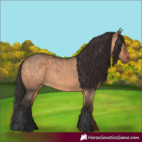 Horse Color:Brown Dun  and Brown Dun 