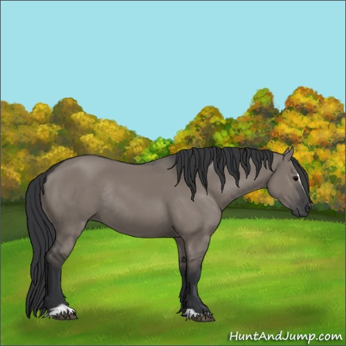 Horse Color:Grullo Sabino Rabicano