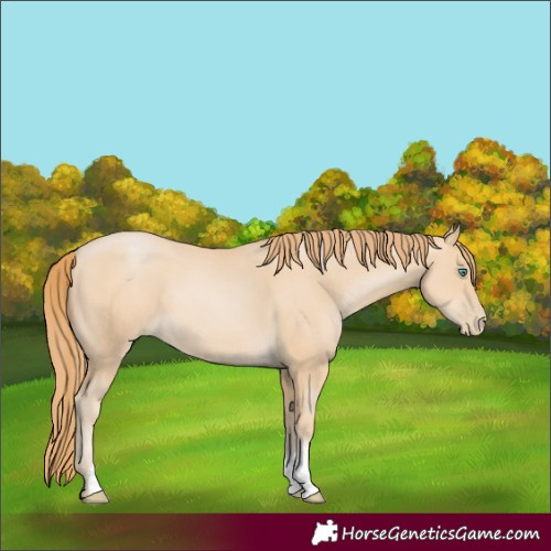 Horse Color:Smoky Black Pearl Sabino