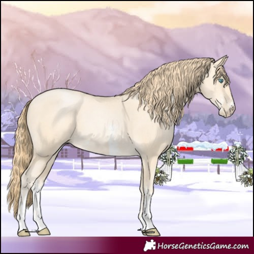 Horse Color:Buckskin Pearl Sabino 